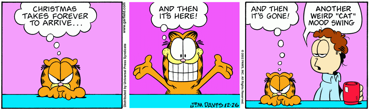 Garfield comic strip for Thursday, December 26, 2002