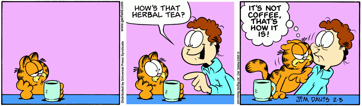 Garfield, February 3, 2003