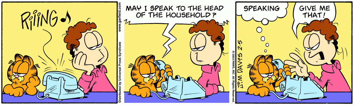 Garfield, February 5, 2003