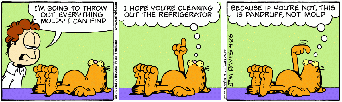 Garfield, April 26, 2003