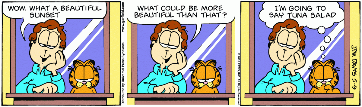Garfield, May 9, 2003