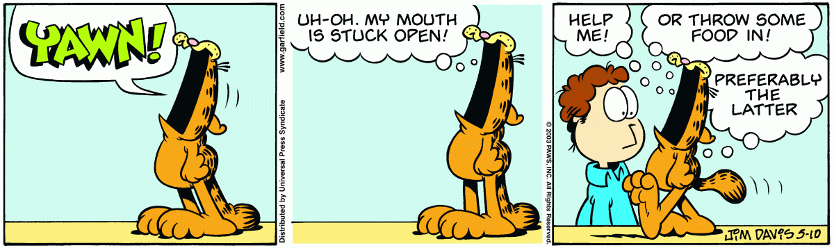 Garfield, May 10, 2003