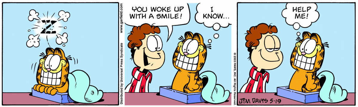 Garfield, May 19, 2003