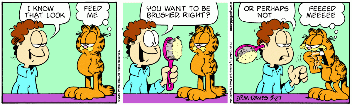 Garfield, May 27, 2003