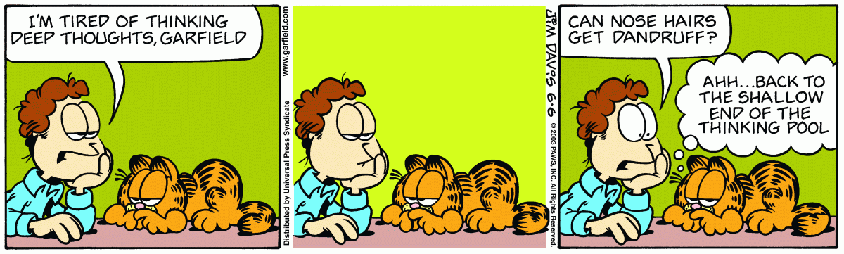 Garfield, June 6, 2003