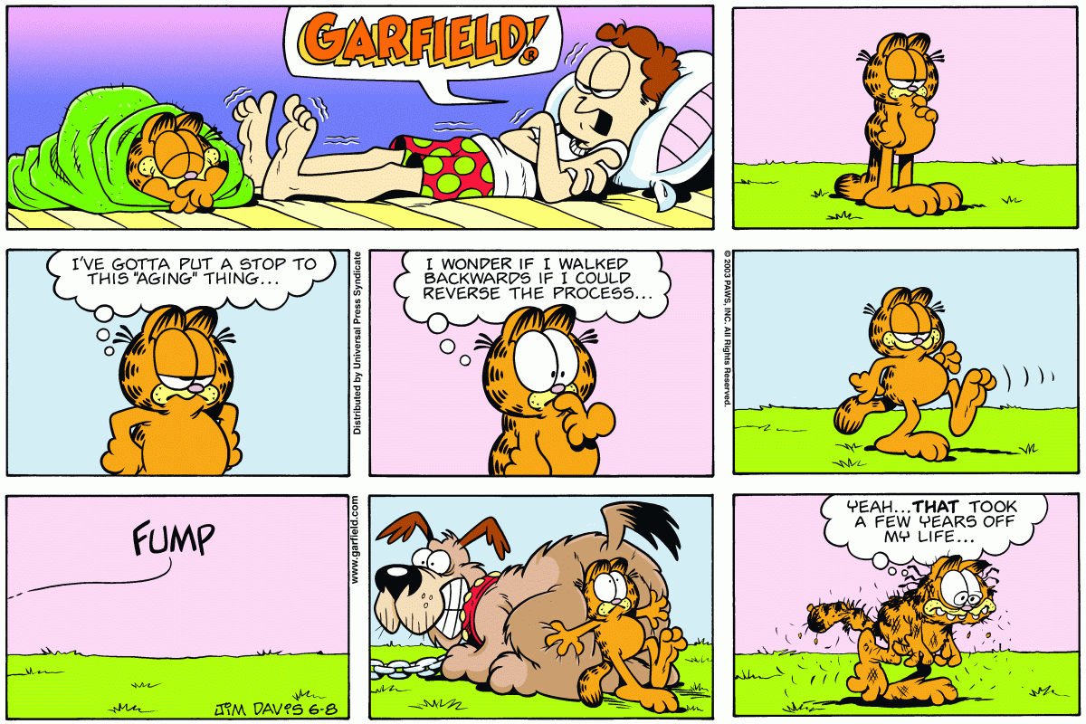 Garfield, June 8, 2003