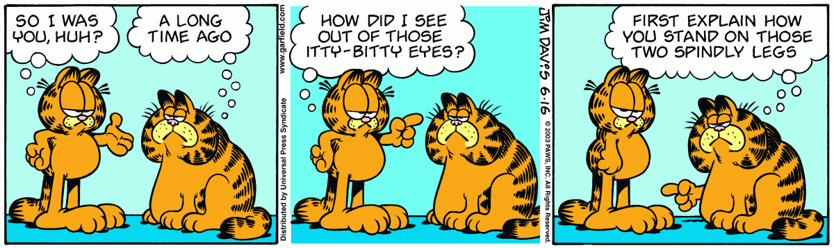 Garfield, June 16, 2003