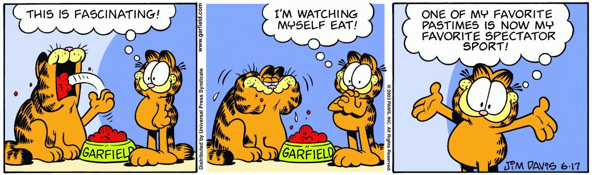 Garfield, June 17, 2003