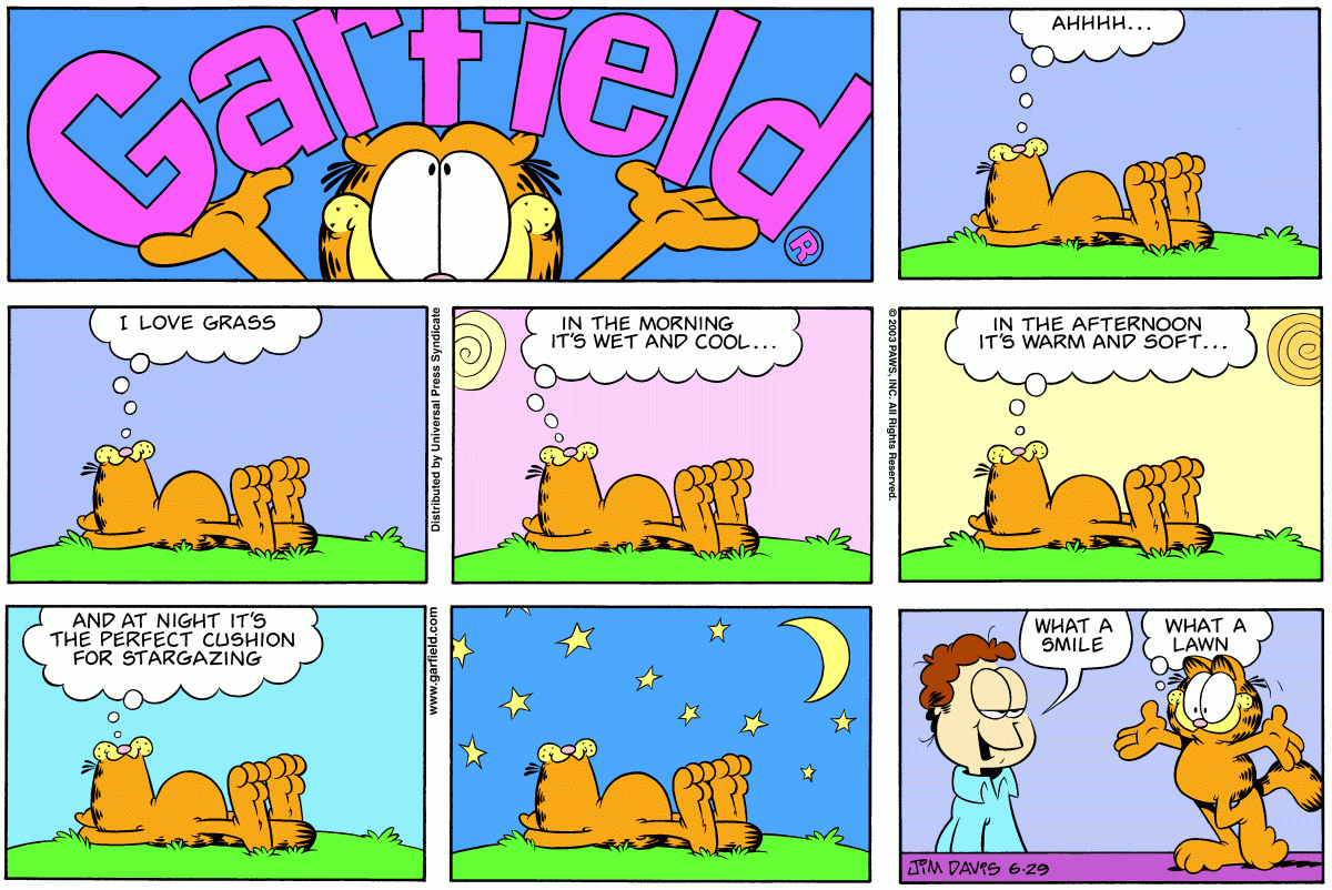 Garfield, June 29, 2003