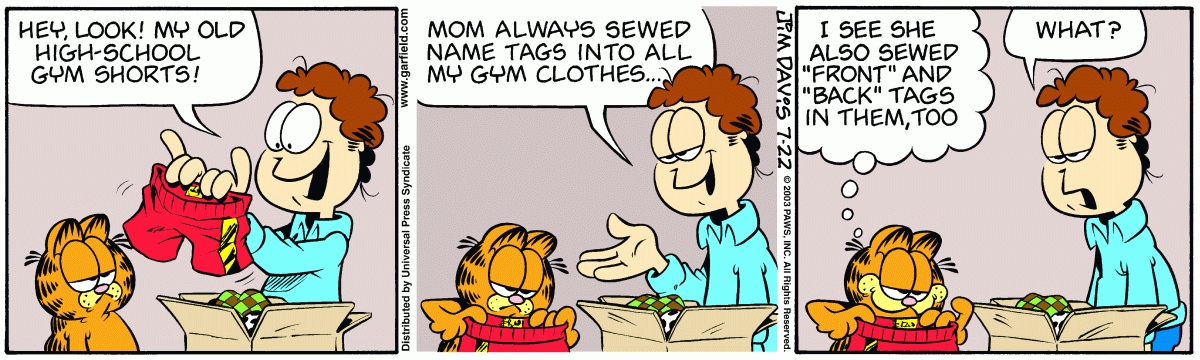Garfield, July 22, 2003