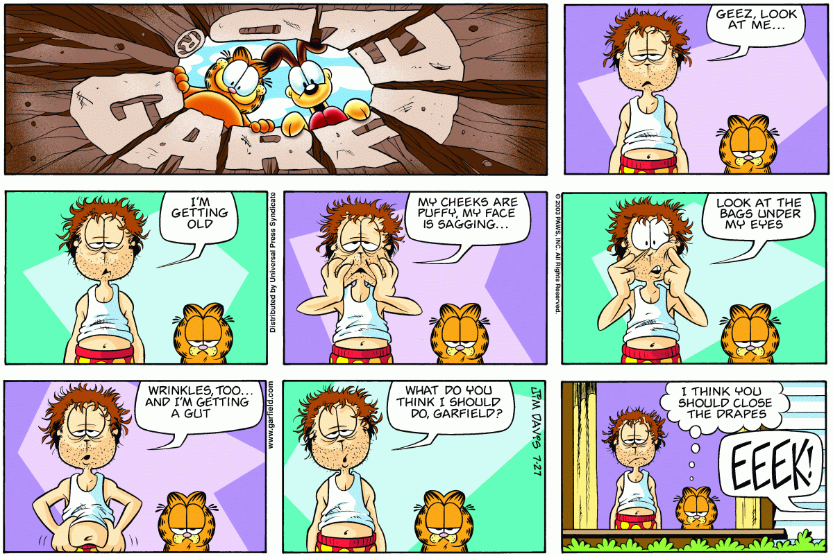 Garfield, July 27, 2003