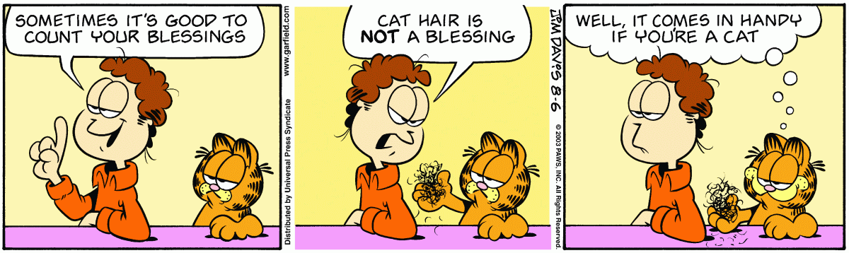 Garfield, August 6, 2003