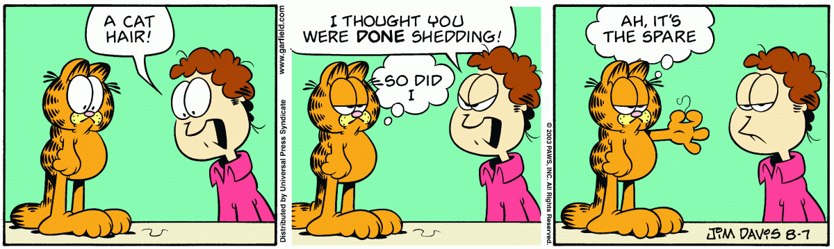 Garfield, August 7, 2003