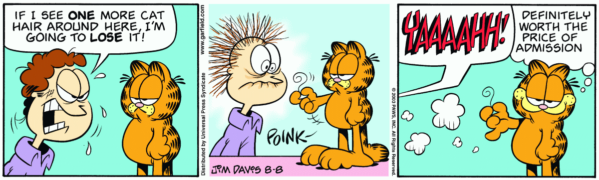 Garfield, August 8, 2003