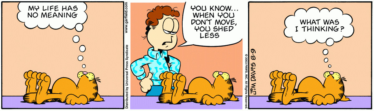 Garfield, August 9, 2003