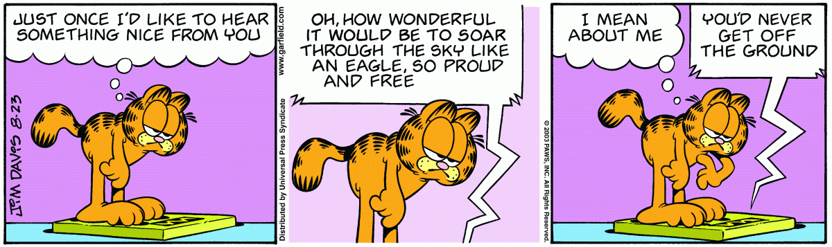 Garfield, August 23, 2003