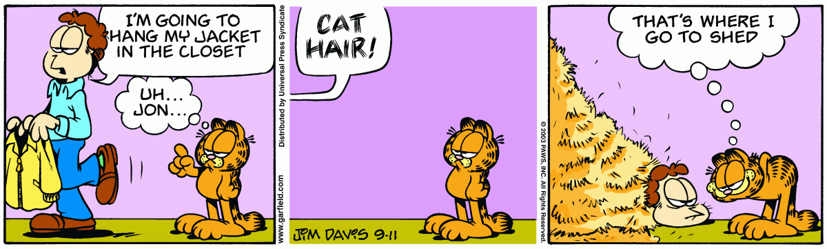 Garfield, September 11, 2003