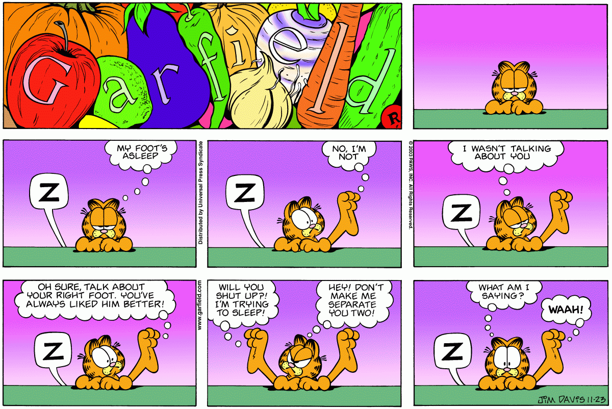 Garfield, November 23, 2003