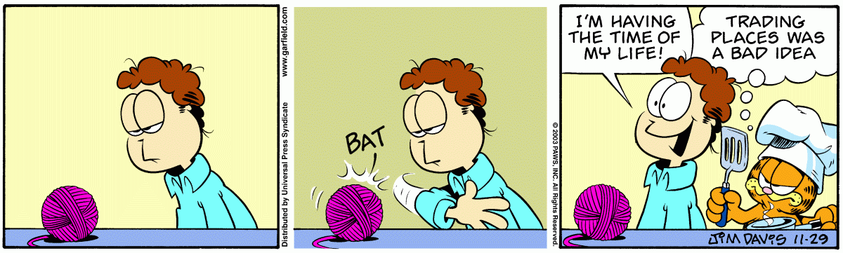 Garfield, November 29, 2003
