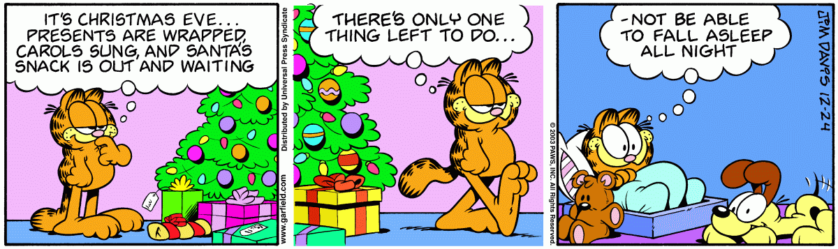 Garfield, December 24, 2003