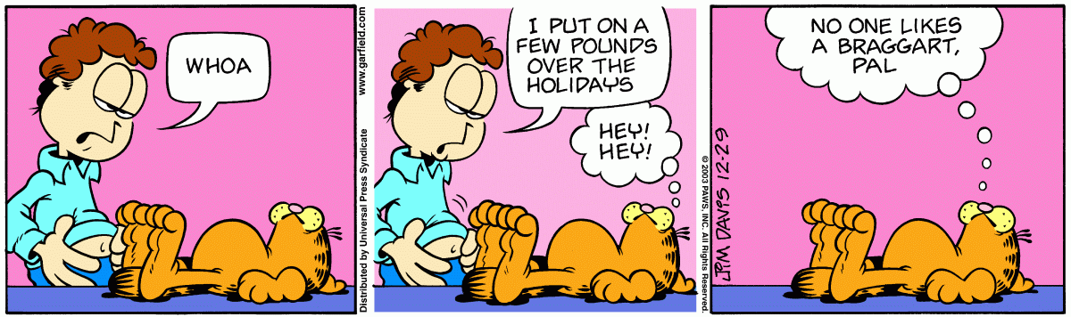 Garfield, December 29, 2003