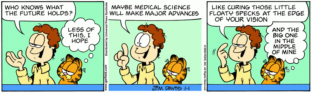 Garfield, January 1, 2004