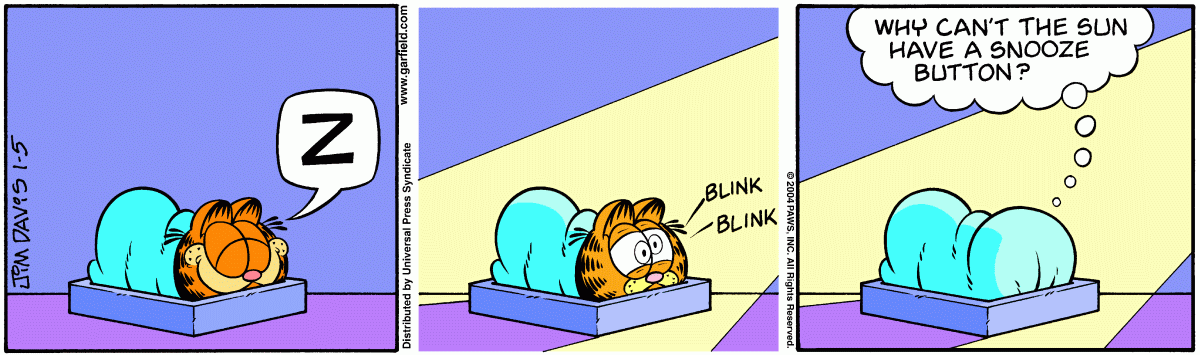 Garfield, January 5, 2004