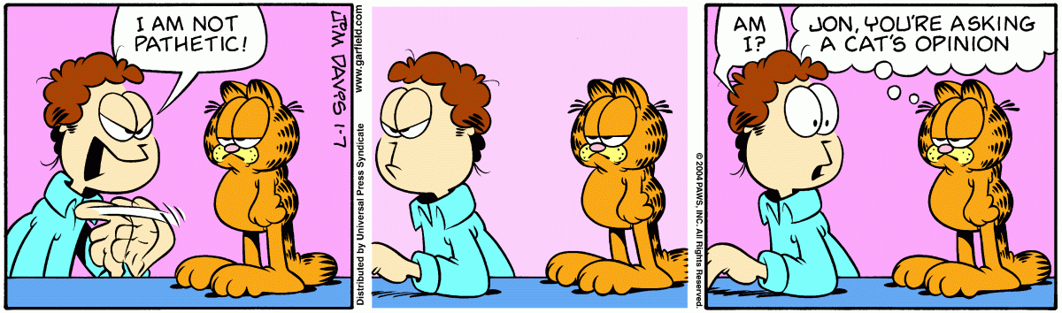 Garfield, January 7, 2004
