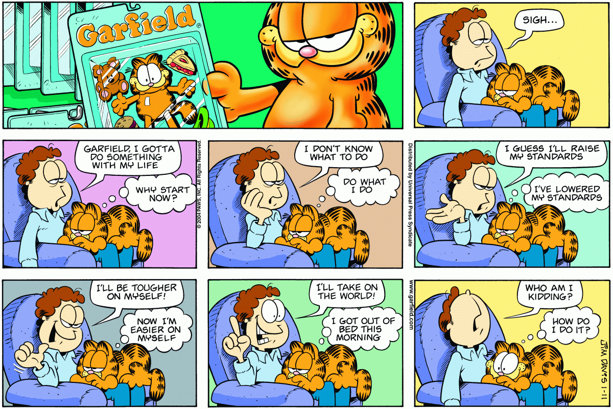 Garfield, January 11, 2004