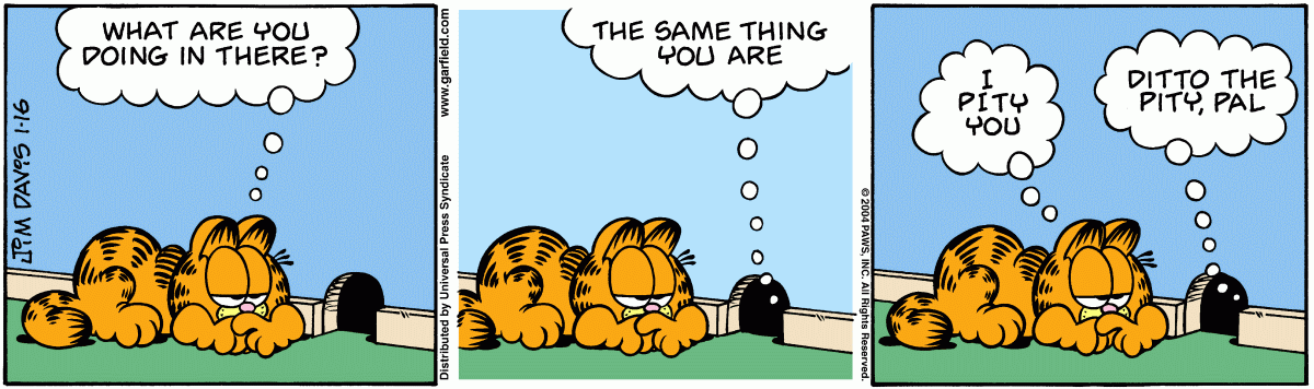 Garfield, January 16, 2004