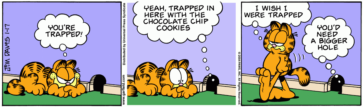 Garfield, January 17, 2004
