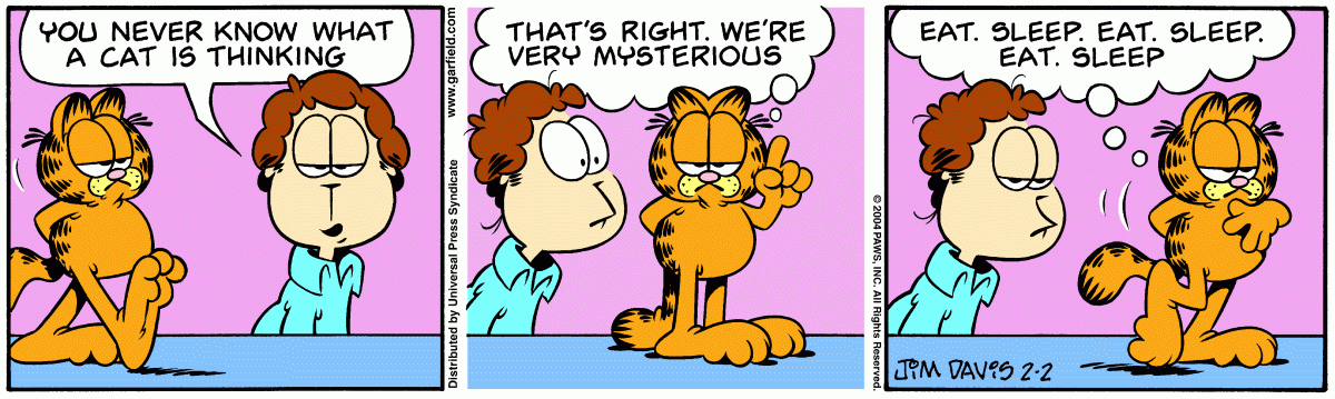 Garfield, February 2, 2004