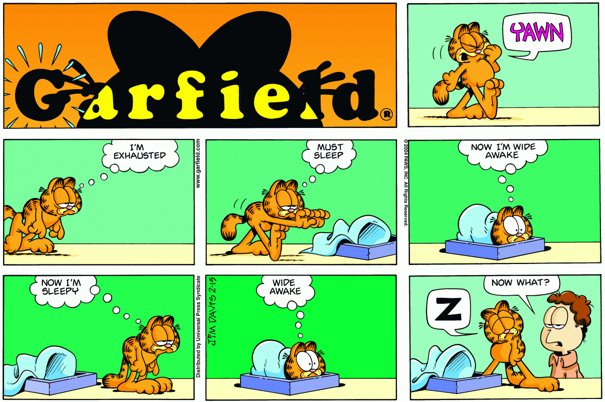 Garfield, February 15, 2004