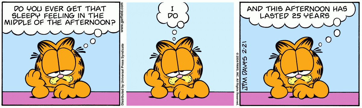 Garfield, February 21, 2004