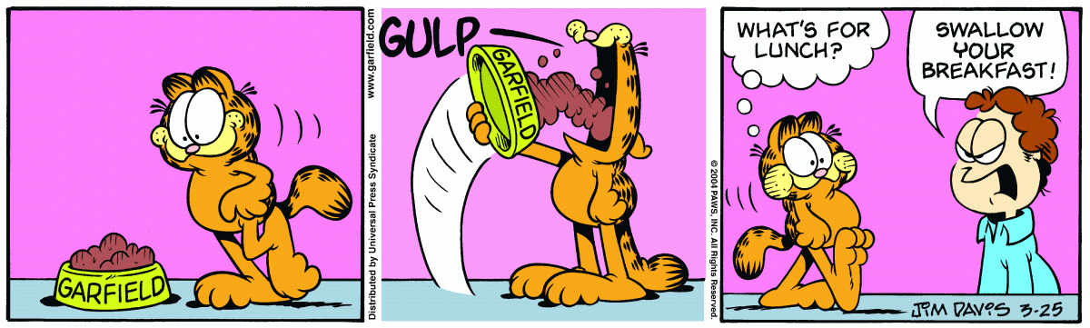 Garfield, March 25, 2004