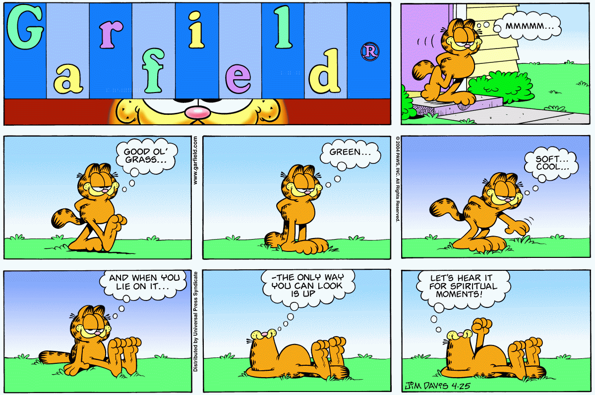 Garfield, April 25, 2004