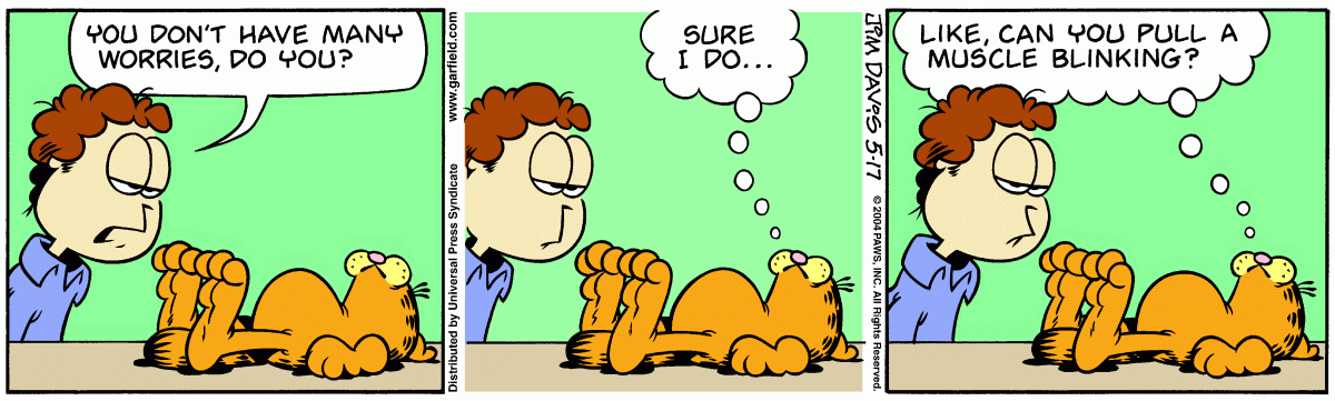 Garfield, May 17, 2004