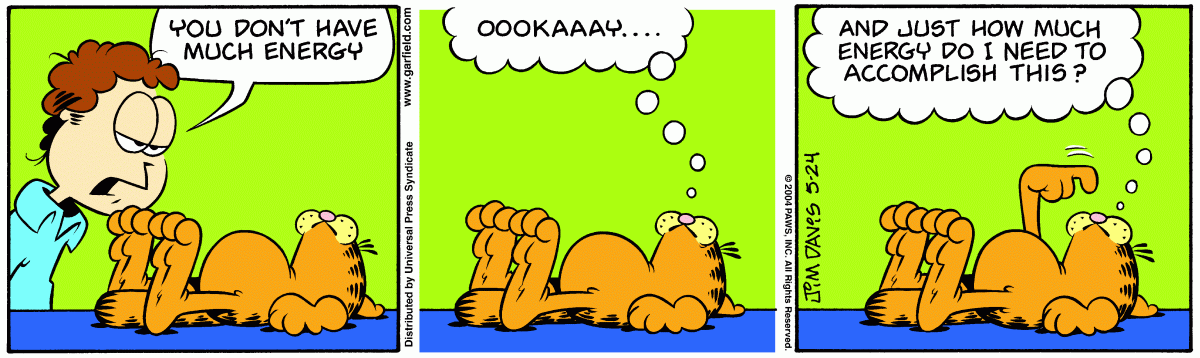 Garfield, May 24, 2004