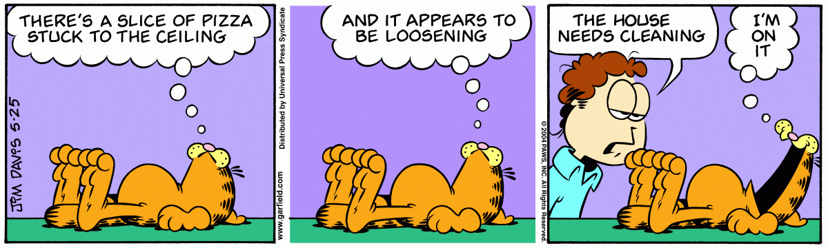 Garfield, May 25, 2004