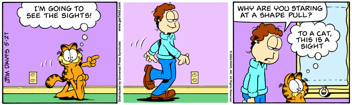 Garfield, May 27, 2004