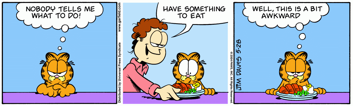 Garfield, May 28, 2004