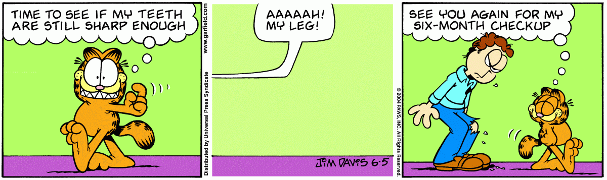 Garfield, June 5, 2004