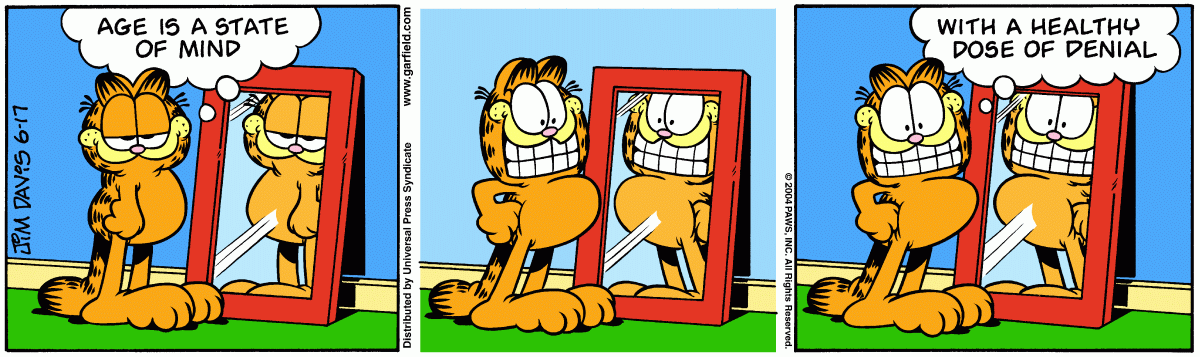 Garfield, June 17, 2004