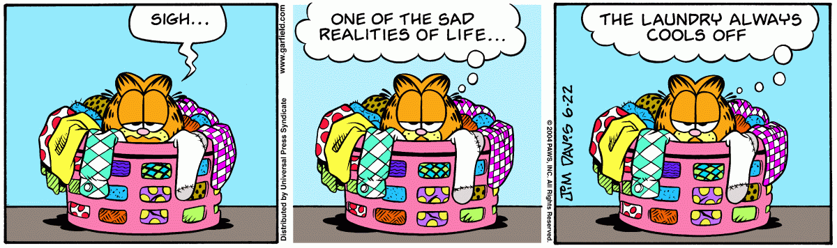 Garfield, June 22, 2004