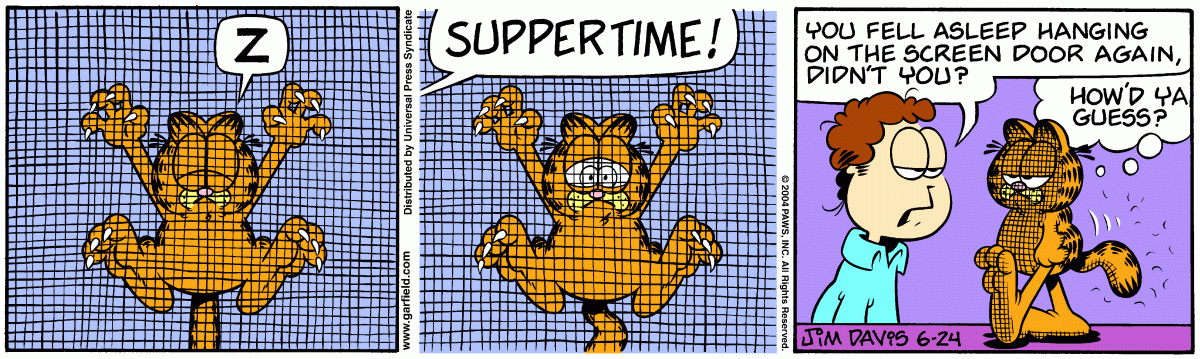 Garfield, June 24, 2004