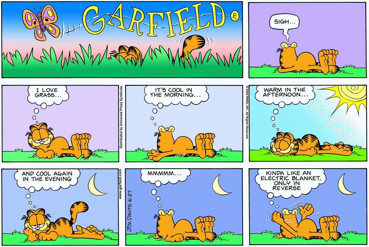 Garfield, June 27, 2004