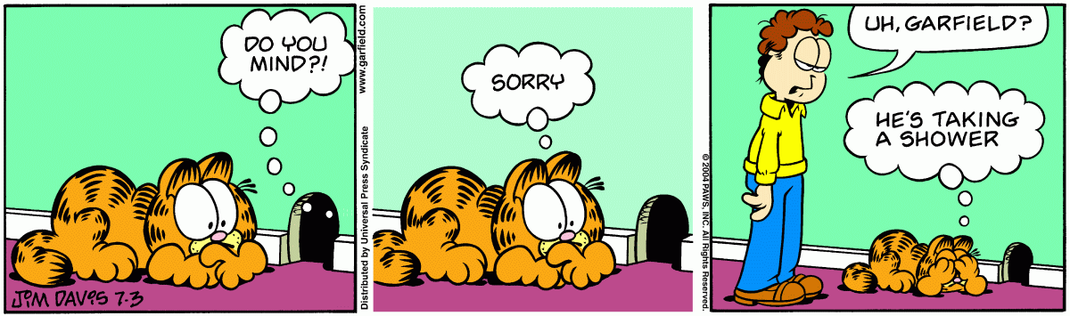 Garfield, July 3, 2004