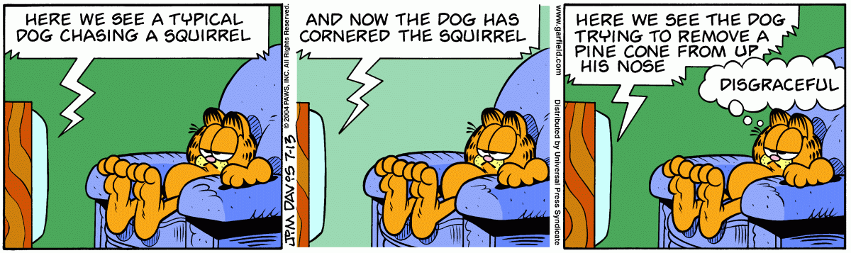 Garfield, July 13, 2004