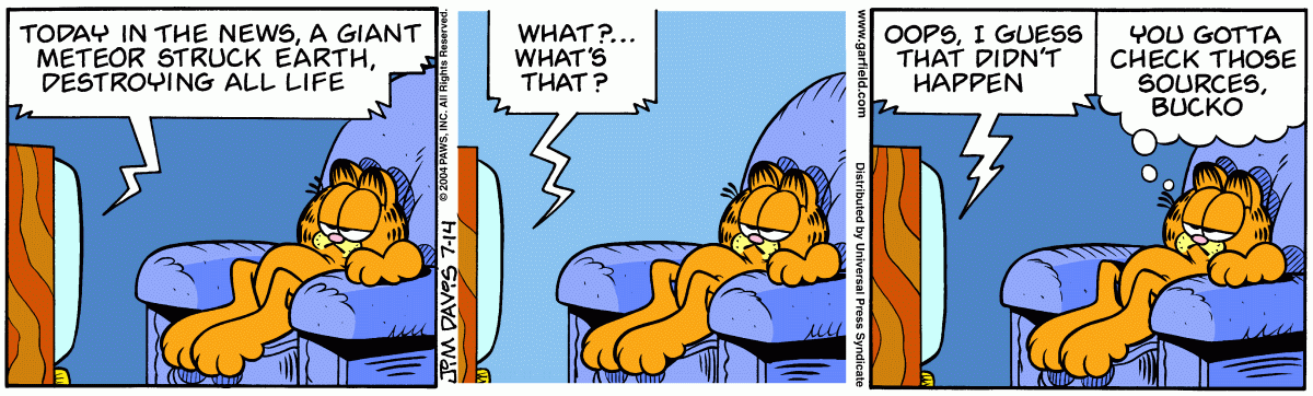 Garfield, July 14, 2004
