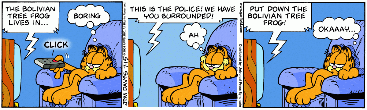 Garfield, July 15, 2004